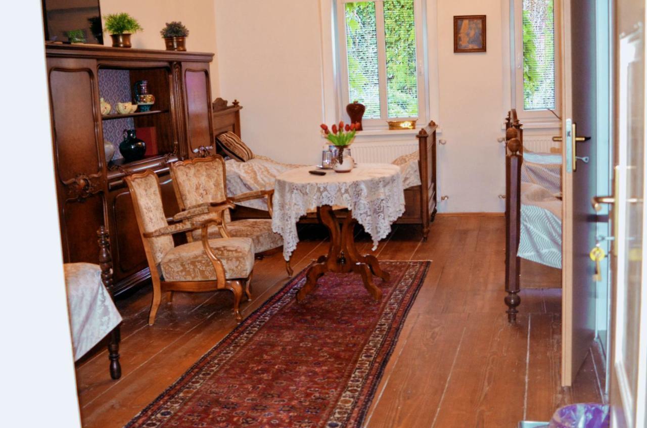 Penzion U Cermaka Ostrov  Extérieur photo